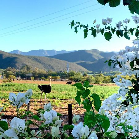 Berluda Farmhouse And Cottages Oudtshoorn Exteriér fotografie