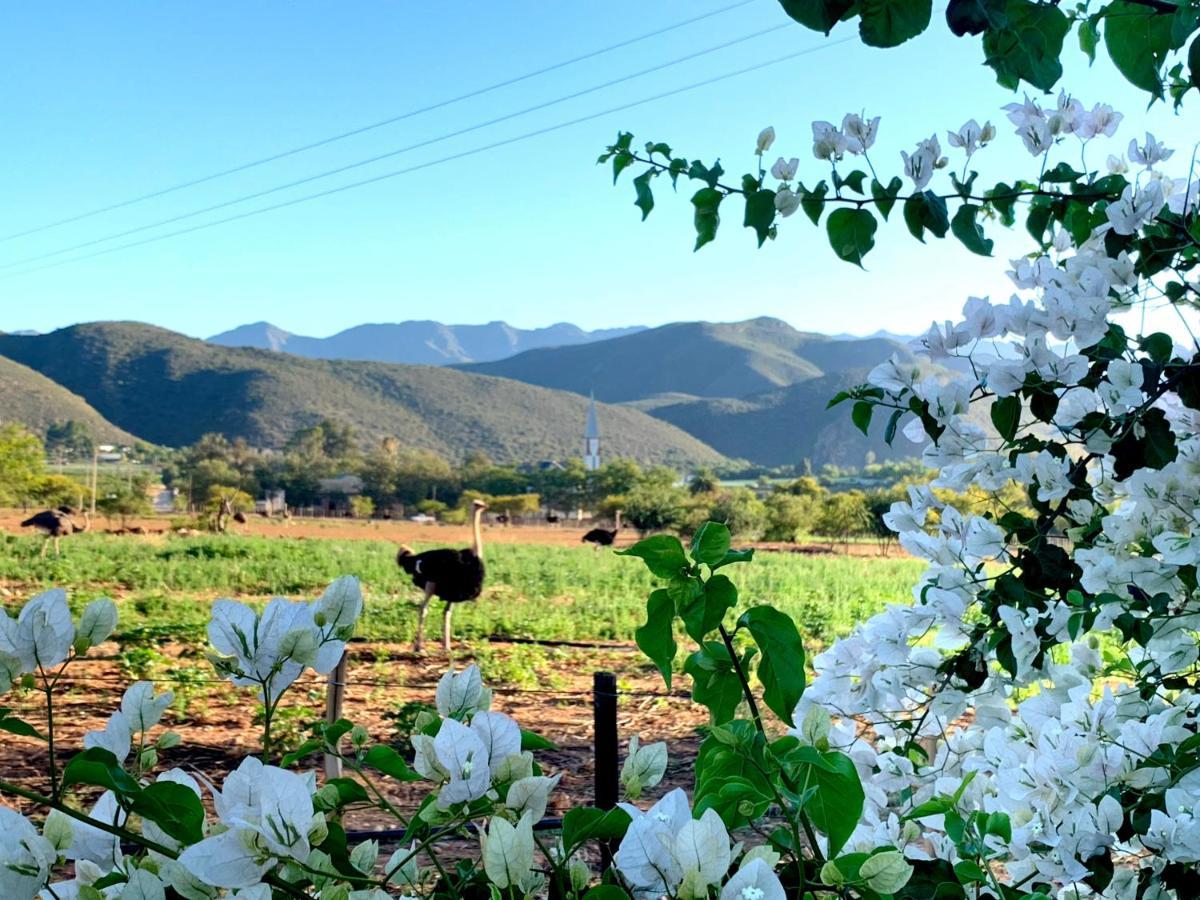 Berluda Farmhouse And Cottages Oudtshoorn Exteriér fotografie